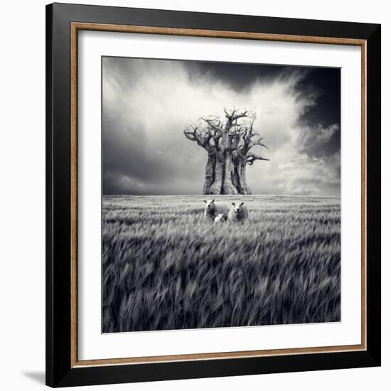 Mydog-Luis Beltran-Framed Photographic Print