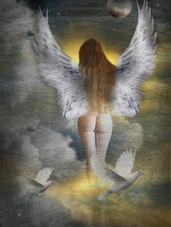 Photographic Print, , small