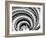 Spiral Staircase-Andrea Costantini-Framed Photographic Print