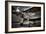 964-Stephen Arens-Framed Photographic Print