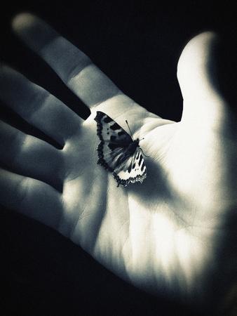 Photographic Print, , small