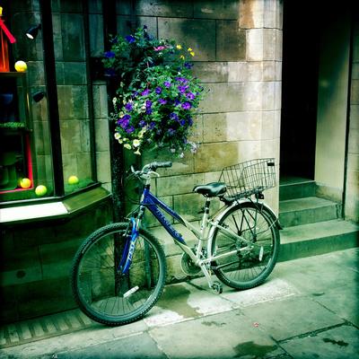 Photographic Print, , small