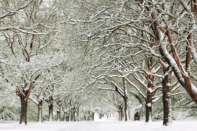 Photographic Print, , small