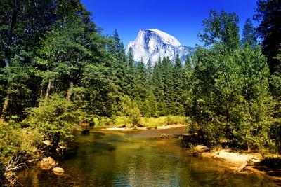 Premium Photographic Print, , small