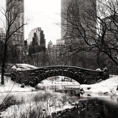 Photographic Print, , small