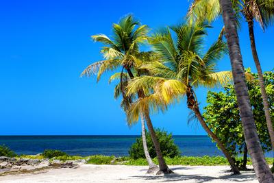 Photographic Print, , small