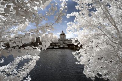 Photographic Print, , small