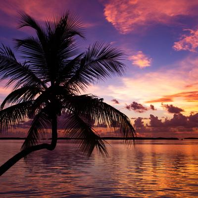 Photographic Print, , small