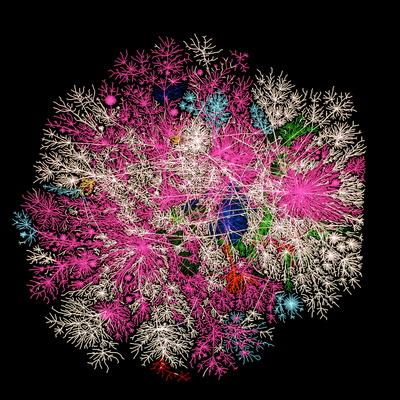 Photographic Print, , small