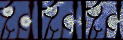 Photographic Print, , small