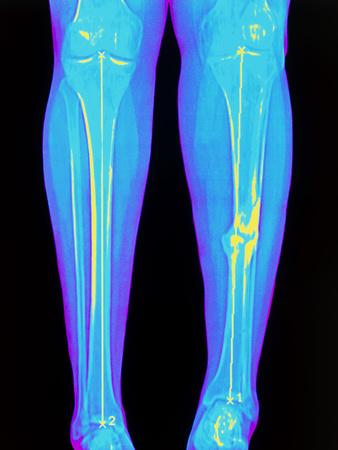 Photographic Print, , small