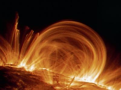 Photographic Print, , small