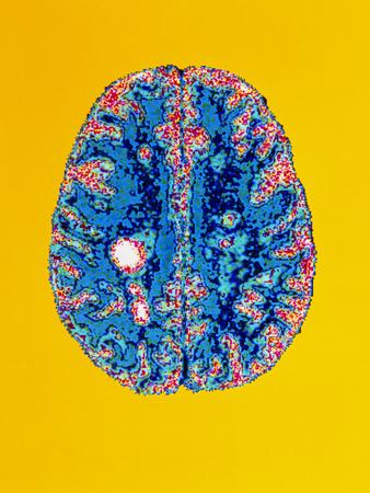 Photographic Print, , small