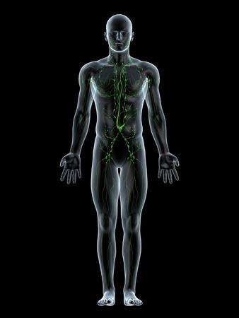 Photographic Print, , small