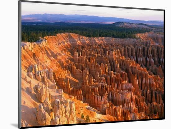 Bryce Amphitheater-Bill Ross-Mounted Photographic Print