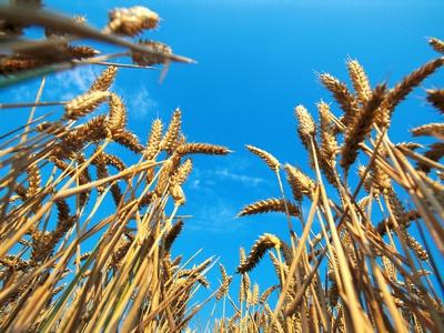 Photographic Print, , small