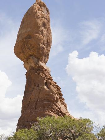 Photographic Print, , small