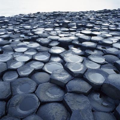 Photographic Print, , small