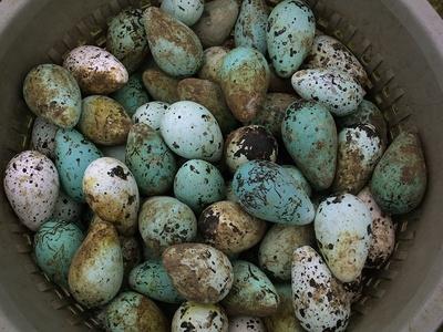 Photographic Print, , small