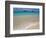 Mokulua Islands from Lanikai Beach-Darrell Gulin-Framed Photographic Print