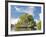 Indonesian islands-Fadil-Framed Photographic Print