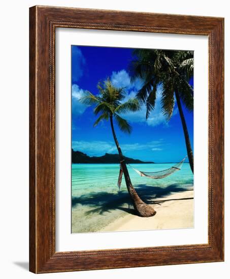 Hammock Hanging Seaside-Randy Faris-Framed Photographic Print