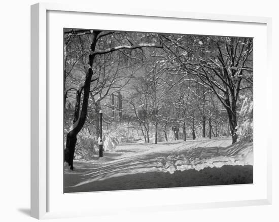 Central Park in Winter-Bettmann-Framed Photographic Print