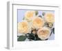 England's Rose-Clay Perry-Framed Photographic Print