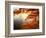 Sunrise Through Autumn Leaves-Joseph Sohm-Framed Photographic Print