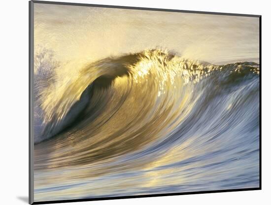 Ocean Wave Breaking-David Pu'u-Mounted Photographic Print