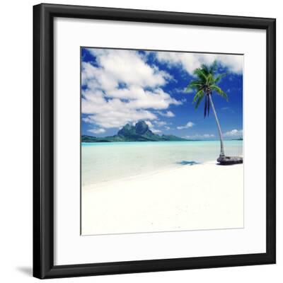 Palm Tree on a Tropical Beach Photographic Print by | Art.com