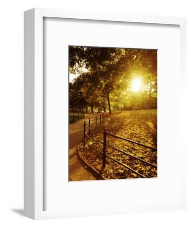 sunset in central park by sarah morgan sunset in central park by sarah morgan