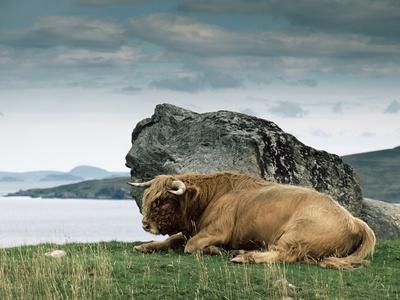 Photographic Print, , small