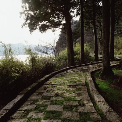 Photographic Print, , small