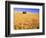 Old Barn in Wheat Field, Eastern Washington-Darrell Gulin-Framed Photographic Print