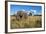 Elephant, Sabi Sabi Reserve, South Africa-Paul Souders-Framed Photographic Print