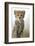 Cheetah Cub-null-Framed Photographic Print