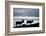 Reindeer, Svalbard, Norway-Paul Souders-Framed Photographic Print