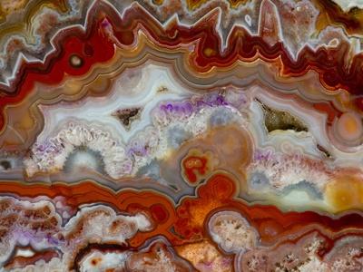 Photographic Print, , small