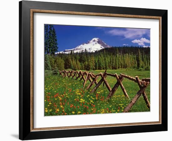 Mt. Hood Viewed from Summit Meadows-Steve Terrill-Framed Photographic Print