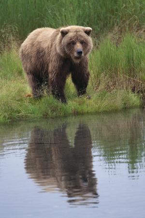 Photographic Print, , small