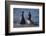 Northern Elephant Seals-DLILLC-Framed Photographic Print