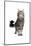 Maine Coon Cat-Fabio Petroni-Mounted Photographic Print