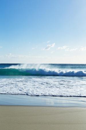 Photographic Print, , small