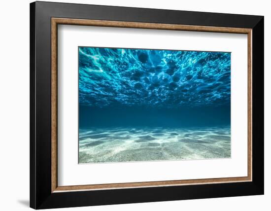 Ocean Bottom, View Beneath Surface-Cico-Framed Photographic Print