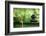 Spa Still Life With Bamboo Fountain And Zen Stone-Liang Zhang-Framed Photographic Print