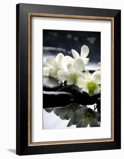 Zen Stones And Branch White Orchids With Reflection-crystalfoto-Framed Photographic Print