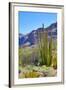 Organ Pipe Cactus National Monument-Anton Foltin-Framed Photographic Print