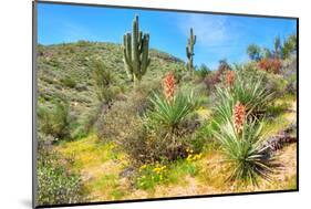 Yuccas-Anton Foltin-Mounted Photographic Print
