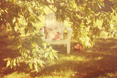 Photographic Print, , small